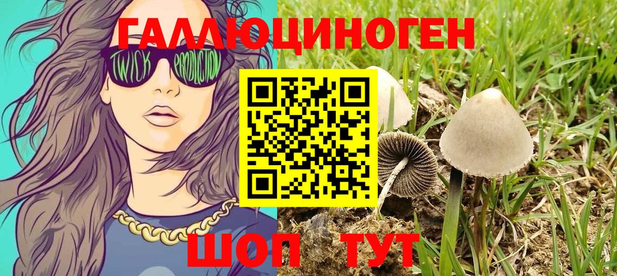 купить   Галлюциногенные грибы Magic Shrooms  Вход с VPN  Кропоткин 
